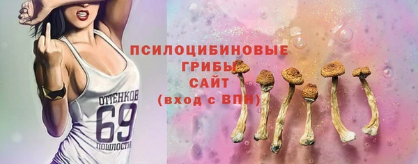 МДПВ Нея