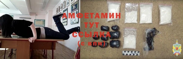 МДПВ Нея
