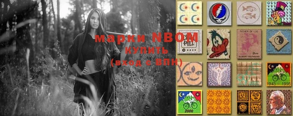 МДПВ Нея