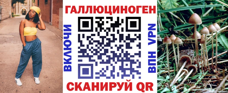 закладка  Кола  блэк спрут зеркало  Псилоцибиновые грибы GOLDEN TEACHER 
